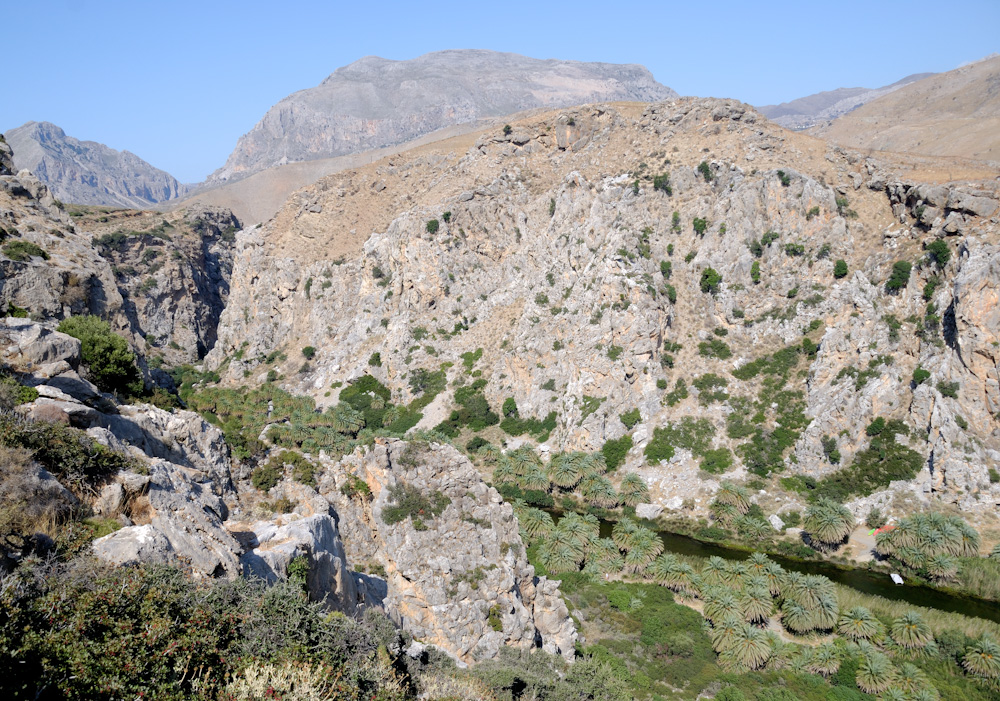 Am Libyschen Meer wird der Palmenstrand beidseitig durch die bis fast ans Wasser reichenden Ausläufer der die Preveli-Schlucht begrenzenden Felsmassive von den benachbarten Küstenabschnitten abgeschirmt. Die nächstgelegenen Meereszugänge sind östlich der 400 Meter entfernte Strand „Drymiskiano Ammoudi“, im Westen die schon fünf Kilometer entfernte Bucht von Schinaria. Oberhalb der Felsküste in Richtung Schinaria stehen auf 170 Meter Höhe über dem Meeresspiegel die Gebäude des Klosters Piso Moni Preveli. Von der Mündung des Megalopotamos ist das Kloster 1,5 Kilometer entfernt. Durch ein aufwendiges Kanalsystem, ausgehend vom südlichen Ausgang der Kourtaliotiko-Schlucht, konnten sich indessen die Bewohner des Klosters das Wasser des Bergbaches nutzbar machen.