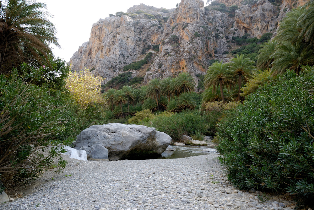 Ab ungefähr 400 Meter vor der Mündung erweitert sich der Megalopotamos zu einem lagunenhaften kleinen See, dem Limni Preveli. Die etwa 15.000 m² große Wasserfläche entstand durch den hier nur noch sehr flachen Verlauf des Baches und ständigen Sandanschwemmungen am Meer, die ihn vor dem Strand anstauen. Die Ufer sind gesäumt von Schilf, blütenreichen Oleanderbüschen, Mastixsträuchern, Eukalyptus und dem die Mündung kennzeichnenden Palmenwald der Kretischen Dattelpalme. Unmittelbar vor dem Meeresufer spenden neben Palmen viele Tamarisken Schatten, unter denen Liegen für die Strandgäste angeboten werden. Der gesamte Bereich ist ein stark bedrohtes Biotop, dessen empfindliche Flora und Fauna dem Massenansturm der Touristen im Sommerhalbjahr kaum noch gewachsen ist.