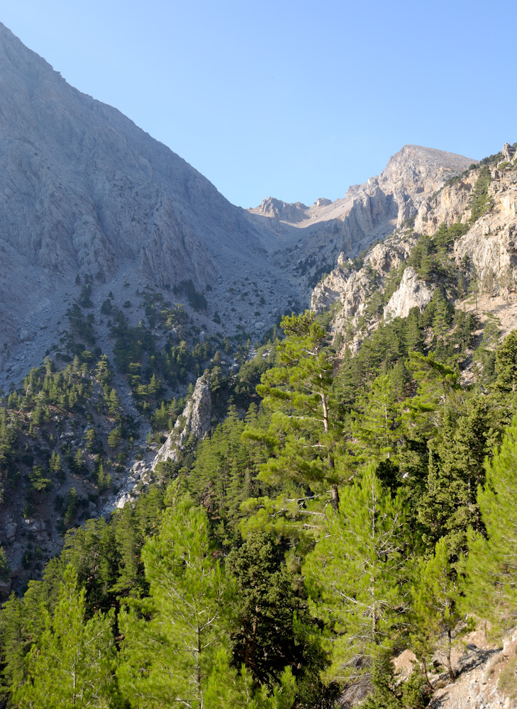 30.9. Beim 3. Kretabesuch soll es endlich klappen, die Samariaschlucht zu durchwandern. Der Bus holt uns pünktlich um 6Uhr beim CP ab und über Rethymno, Chania fahren wir nach Omalos zum Einstieg in die Schlucht.Die Samaria-Schlucht  im Südwesten der Insel  ist mit 17 Kilometern Länge eine der längsten Schluchten Europas. Sie führt aus über 1200 m Höhe fast von der Mitte der Insel bis zum Libyschen Meer.