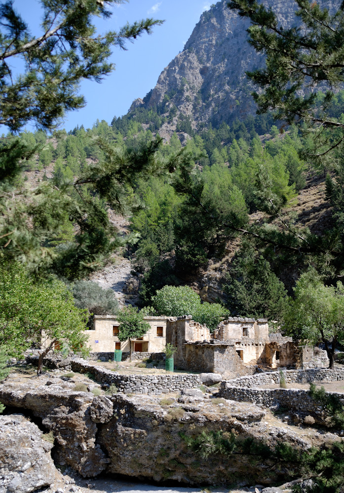 Das Dorf Samaria wurde bis 1962 bewohnt, als der Nationalpark entstand und die Bewohner gezwungen wurden, wegzugehen. Die Schlucht war seit Jahrtausenden von Holzfällern bewohnt (es gibt ein paar Überbleibsel von Sägemühlen in der Schlucht) und war auch ein Ort, an den sich die Partisanen, die gegen die Türken kämpften, zurückziehen konnten. Während des Winters ist Agia Roumeli nicht durch die Schlucht erreichbar, weil der Fluss in der Schlucht viel zu viel Wasser führt. Es gab nur einen schwierigen Bergpfad zwischen Samaria und dem Meer. Wenn Sie also im Dorf Samaria rasten, denken Sie ein bisschen daran, wie das Leben wohl für diese Leute ausgesehen hat.