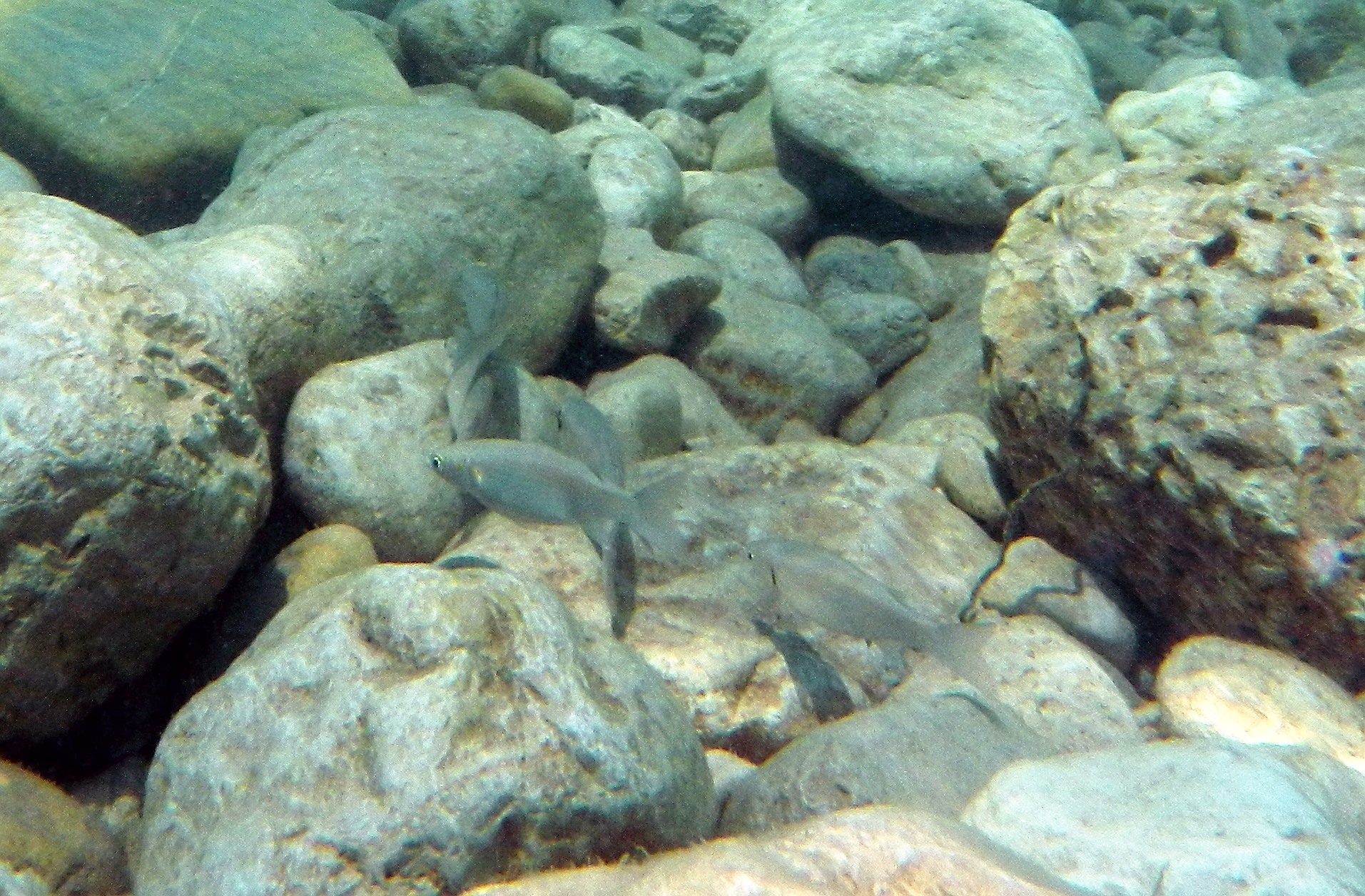 Bei dieser Hitze ist es einfach herrlich im Wasser, wir wollen gar nicht mehr raus...