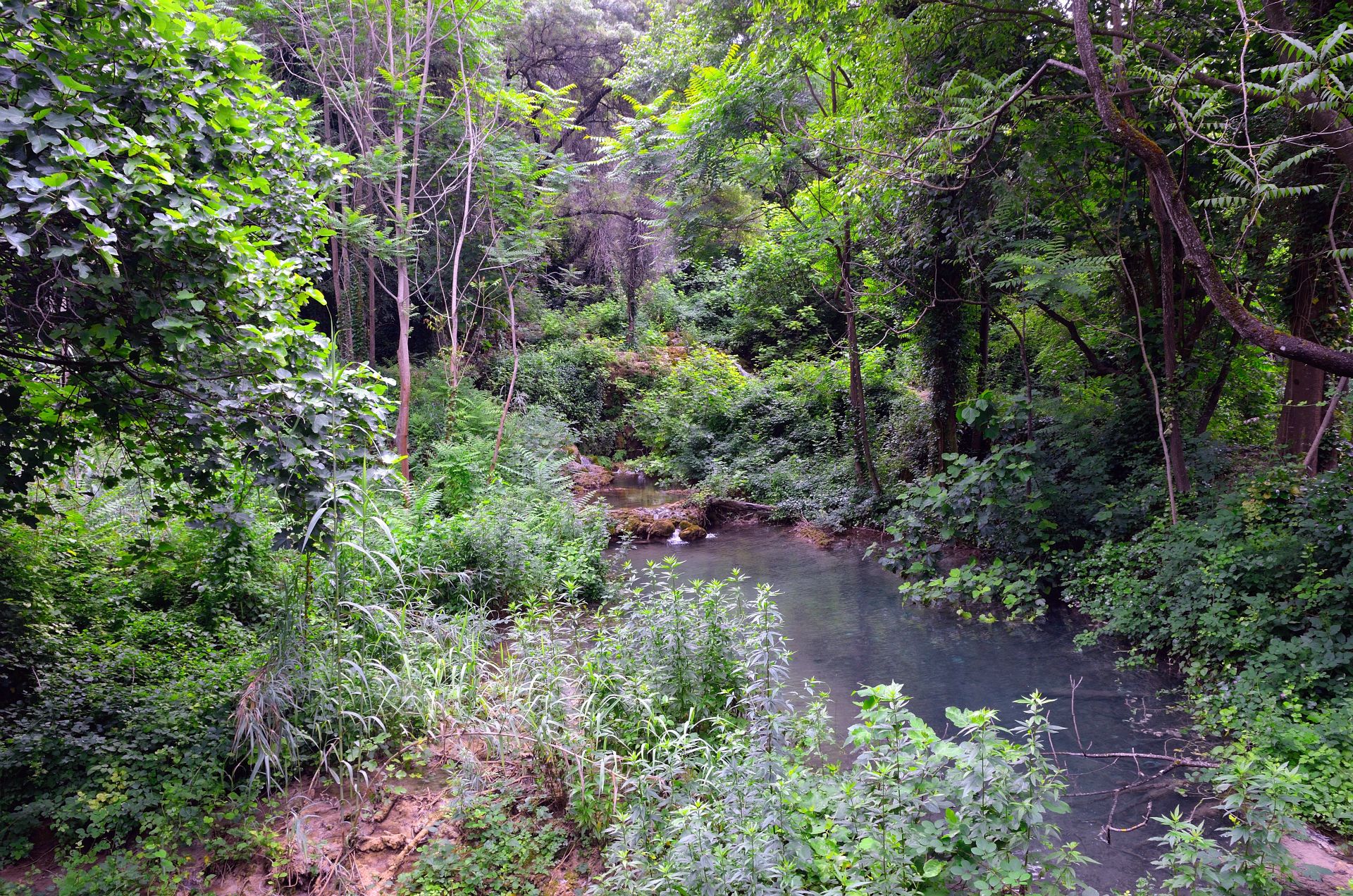 Nationalpark Krka, insgesamt wurden bereits 860 bekannte Pflanzenarten dokumentiert...