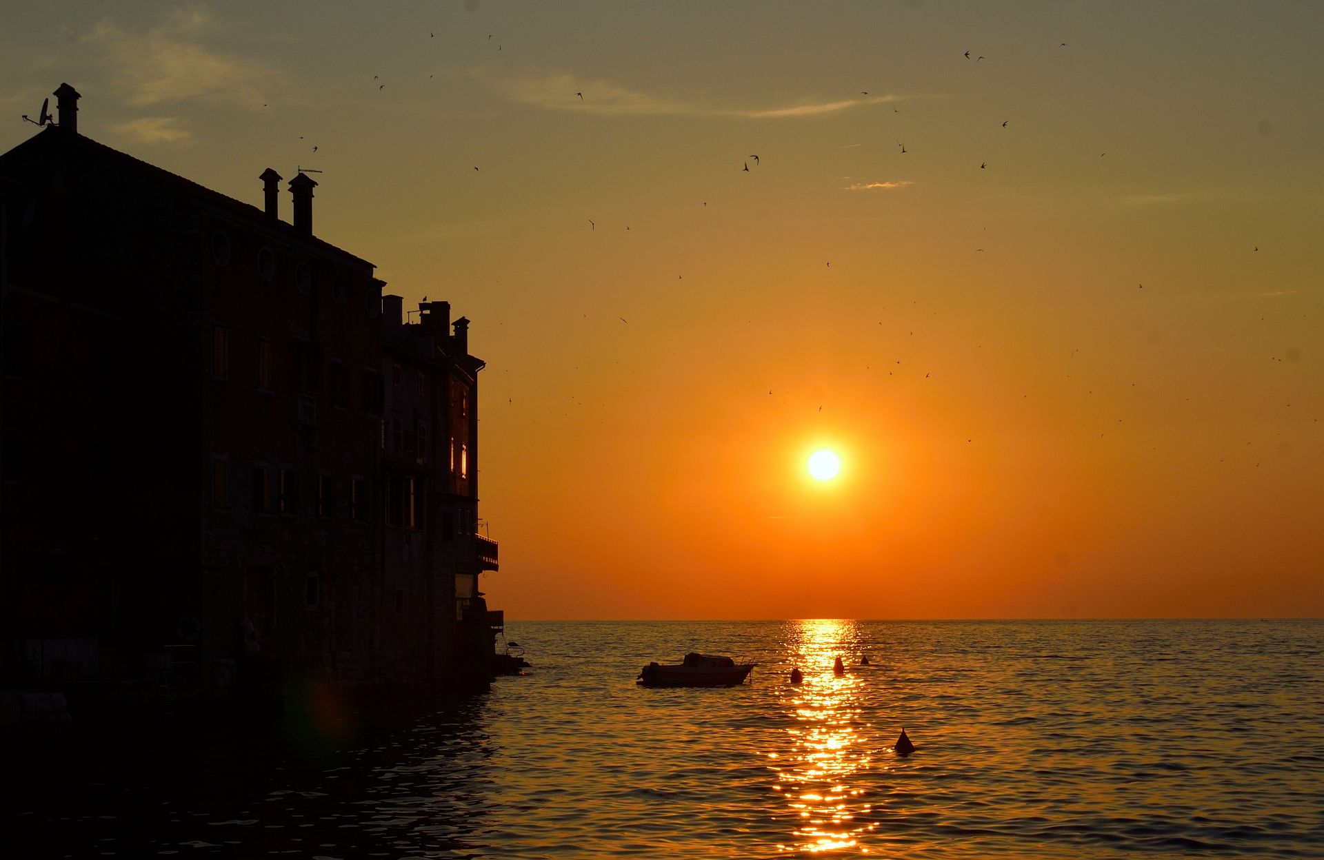 19.6. Das Wetter ist wieder ideal zum Baden. Erst am späten Nachmittag fahren wir mit der Honda nach Rovinj zum Shoppen und danach genehmigen wir uns eine Fischplatte in unseren Lieblingslokal. Den Tag lassen wir vorm Womo mit einen Gläschen Weisswein ausklingen...