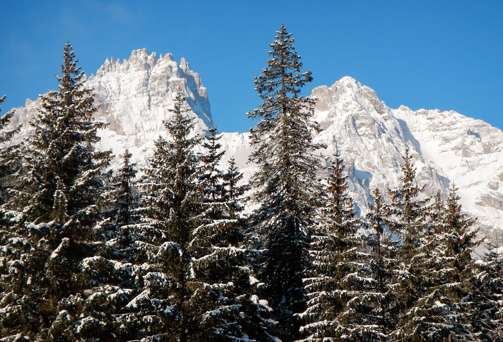 Eingebettet in unberührte Landschaft. Das Plätschern des Baches, der Anblick der Dolomiten, das Gefühl, eins mit der Wildnis zu sein und doch einzutauchen in eine Welt innovativer Urlaubsfreuden im Camping in Südtirol...so lautet der Leitspruch auf der Website vom CaravanPark Sexten und wie man sieht kommt dieser nicht von ungefähr, 
Rotwand-Massiv mit Einser-, Elfer- und Zwölferkofel, alle zwischen 2900 und 3100 m hoch...