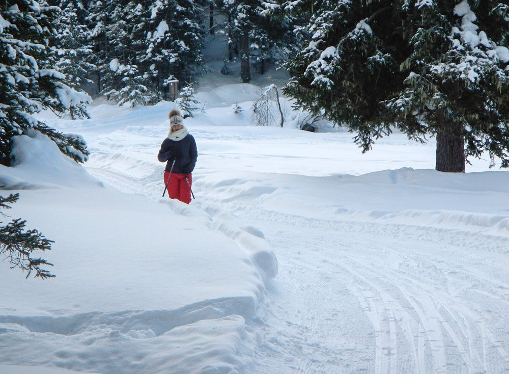 ...wir velassen über eine Holzbrücke den CP und wandern entlang der Langlaufloipe ( im Nicht-Winter Mountainbikestrecke) richtung Kreuzbergpass...